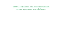 Презентация Кормление птицы в условиях птицефабрики