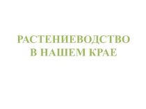 Презентация по окружающему миру на тему Растениеводство в Пермском крае