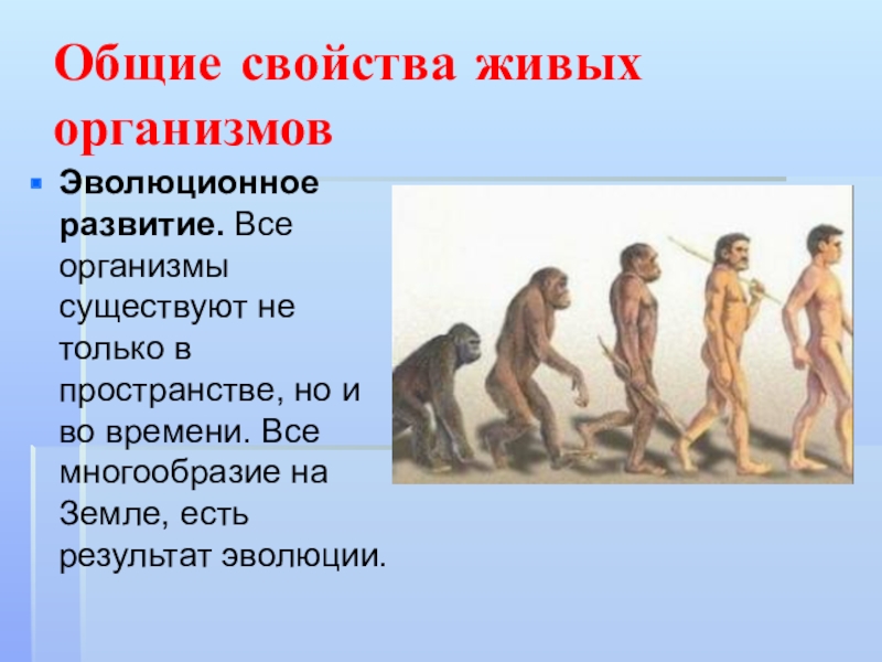 Этапы развития живого организма. Эволюция живых организмов. Эволюционное развитие. Эволюция свойство живого. Свойства живых организмов Эволюция.