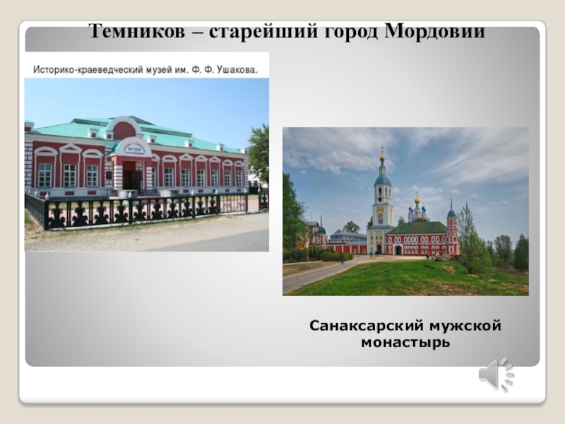 Темников мордовия карта