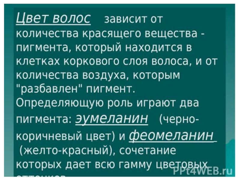 От чего зависит цвет. От чего зависит цвет волос. Цвет волос зависит от клеток. Цвет волос от чего он зависит. От чего зависит цвет волос у человека.