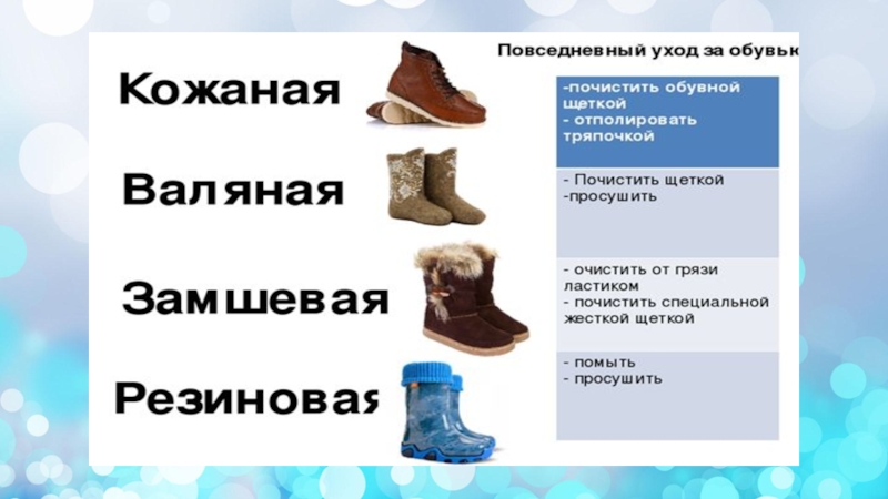 Презентация по социально-бытовой ориентировке на тему Чистка, сушка и хранение одежды и обуви (5 класс)