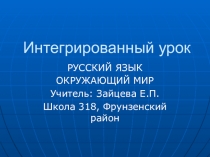 Презентация интегрированного урока по русскому языку и окружающему миру на тему Изменения в неживой природе весной. Безударная гласная в корне