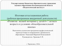 Итоговая аттестационная работа (рабочая программам внеурочной деятельности) Развитие мелкой моторики у детей 6-7 летнего возраста в условиях общеобразовательной школы