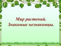 Презентация по биологии на тему Многообразие растений (6 класс)