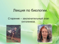 Презентация Старение и смерть организма