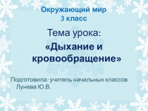 Презентация по окружающему миру Дыхание и кровообращение (3 класс)