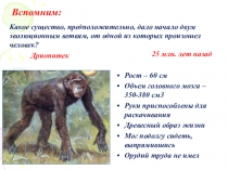 Презентация по биологии на тему Эволюционное происхождение человека