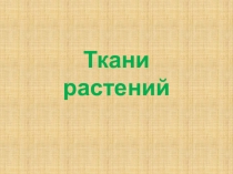 Трани растений презентация для 6 класса