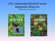 Красная книга Амурской области. Презентация.
