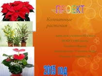 Презентация проекта по экологии Комнатные растения