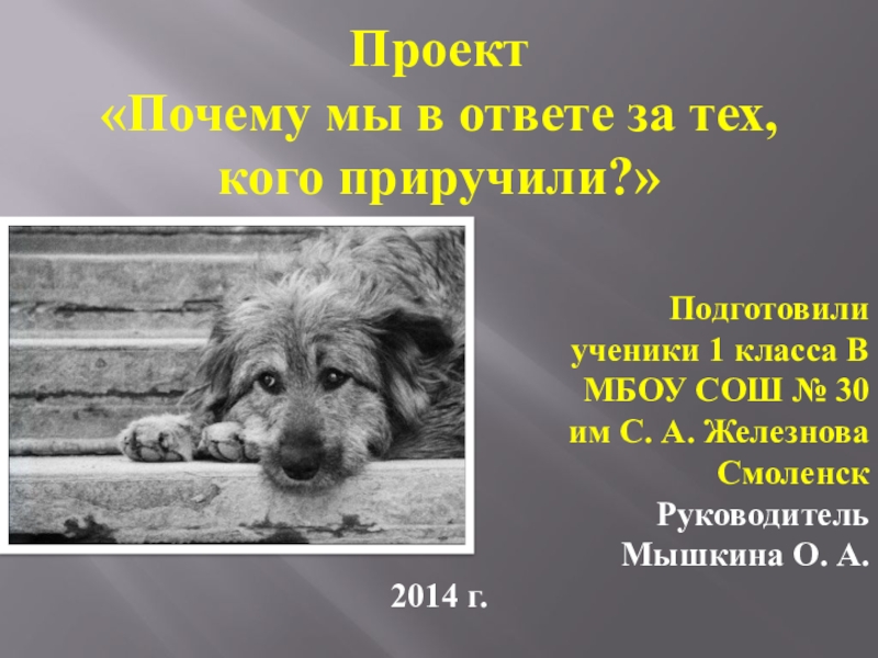 Также в ответе. Мы в ответе за тех кого приручили проект. Помните мы в ответе за тех кого приручили. Мы всегда будем в ответе за тех, кого приручили. Цель проекта мы в ответе за тех кого приручили.