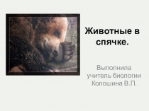 Презентация по зоологии Животные в спячке (7 класс)