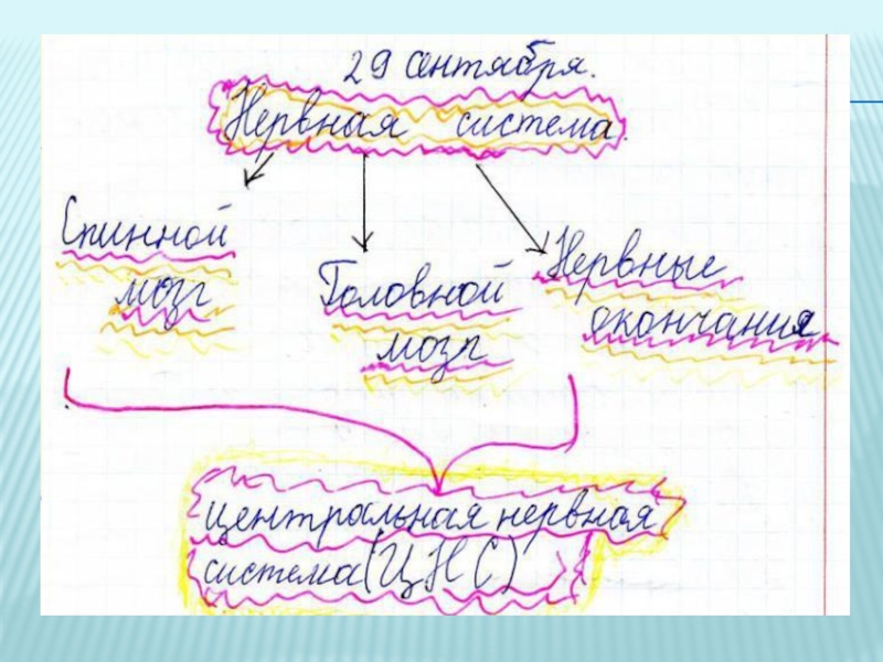 Современные образовательные технологии, как основное средство реализации ФГОС в начальной школе (из опыта работы)