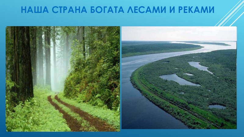 Презентация Россия-родина моя средняя группа. НАША СТРАНА БОГАТА ЛЕСАМИ И РЕКАМИ НАША СТРАНА БОГАТА ЛЕСАМИ И РЕКАМИ