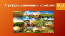 Презентация по географии на тему АПК Новосибирской области