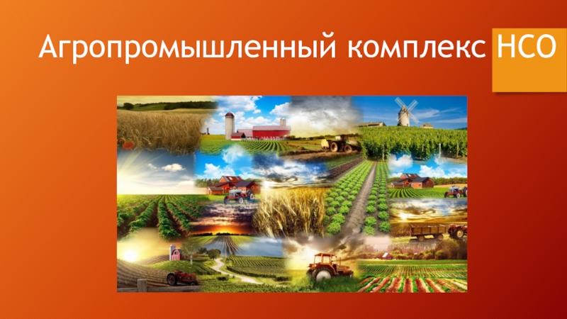 Презентация по географии на тему АПК Новосибирской области