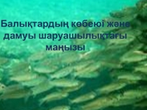 Презентация Балықтардың көбеюі және дамуы, шаруашылықтағы маңызы