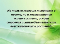 Презентация по биологии на тему  Строение растительной, животной и грибной клеток