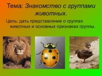 Урок окружающего мира для 2 класса по теме Знакомство с группами животных
