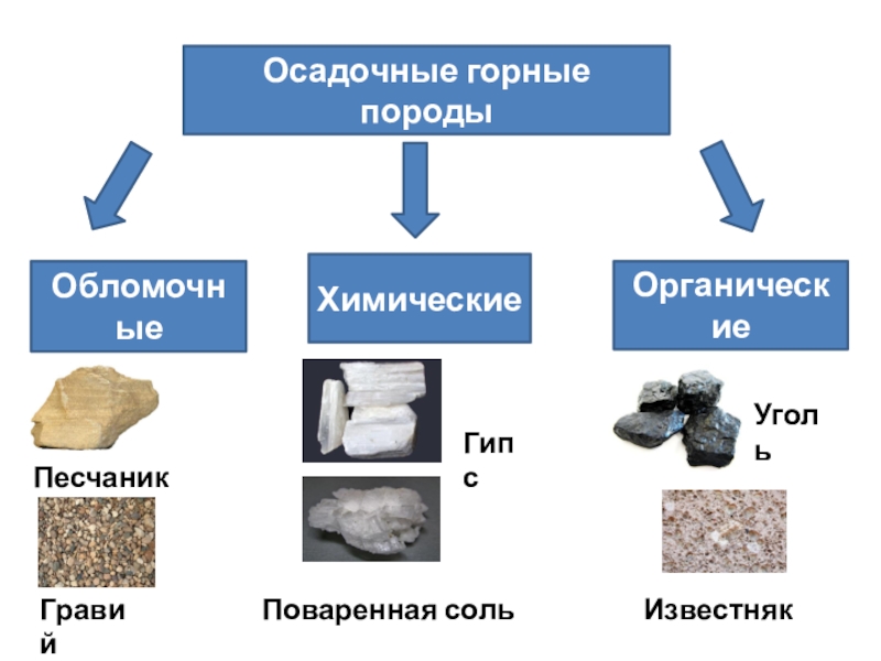 Осадочные породы являются