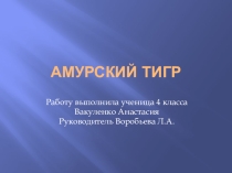 Амурский тигр Проект по окружающему миру