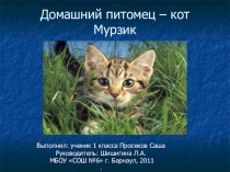Презентация Домашний питомец- кот Мурзик