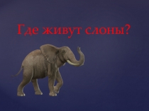 Презентация по окружающему миру на тему Где живут слоны (1 класс)