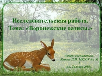 Презентация по Окружающему миру: Оазисы Воронежского края