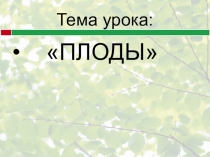Презентация по биологии на тему Плоды 6 класс