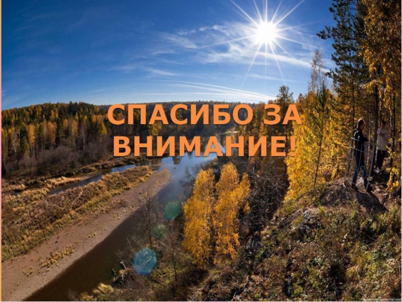 Презентация Любимая книга о природе.