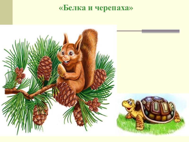 самое чувствительное животное. человек белка черепаха чиж листья. 3d головоломки для детей своими руками. человек белка черепаха. человек белка черепаха.