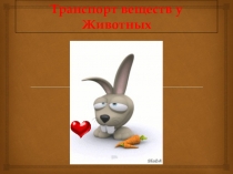 Урок в 6 классе Транспорт веществ у Животных