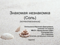 Презентация исследовательского проекта Знакомая незнакомка. Соль