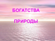 Презентация по окружающему миру на тему Природные богатства нашей Родины (3 класс)