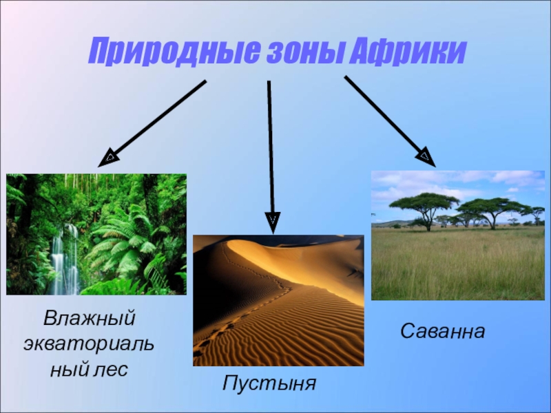 Экваториальные пустыни. Природные зоны Африки. Саванны пустыни экваториальные леса. 2 Природные зоны Африки. Природные зоны Африки 4 класс.