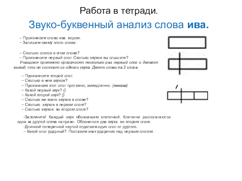 Ива схема слова