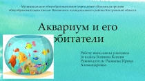Исследовательский проект Аквариум и его обитатели(1 класс)