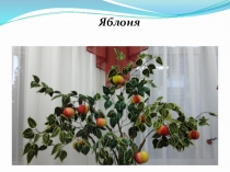Презентация по технологии на тему Шедевры осени. Яблоня