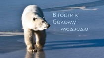 Презентация В гости к белому медведю