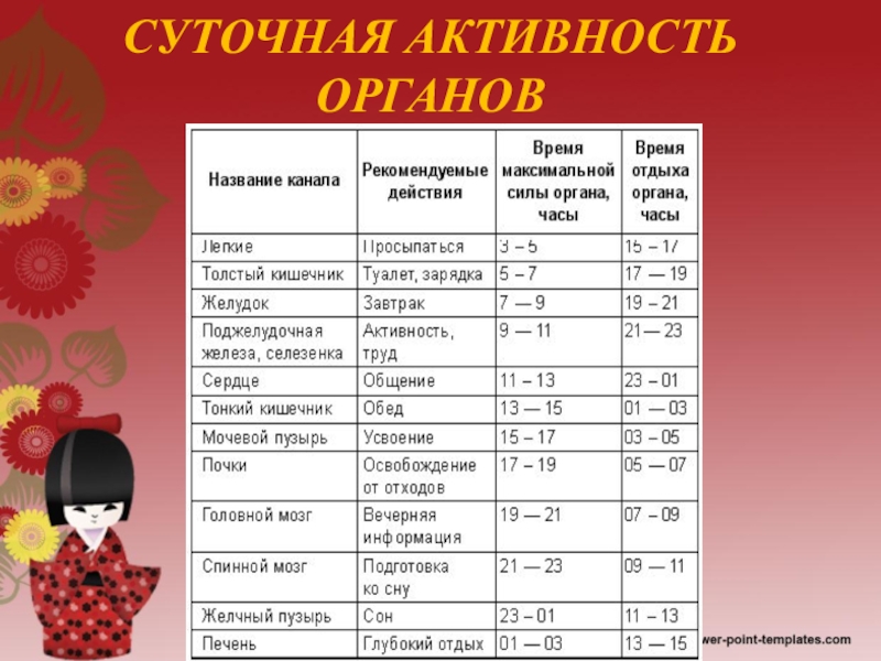 Биологические часы или как прожить долго презентация