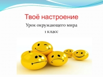 Презентация по окружающему миру на тему  Твое настроение