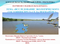 Презентация к научно-исследовательской работе Исследование экологического состояния пруда села Чекмаревка