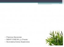 Ткани растений и их виды