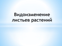 Видоизменение листьев растений.