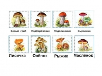 Презентация к уроку окружающего мира