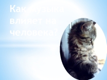 Исследовательский проект ученицы 9а класса школы №78 г. Ярославля Дождиковой Д.