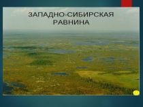 Западно-сибирская равнина
