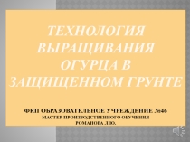 Технология выращивания огурца