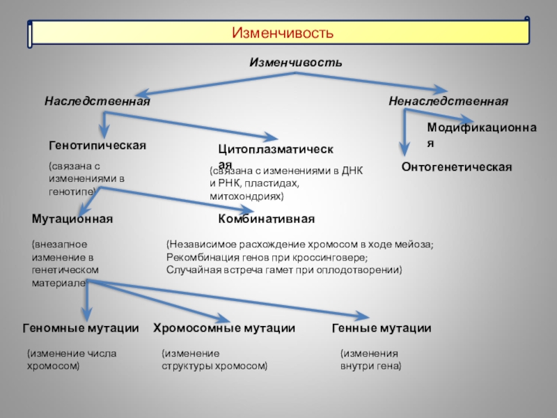 План по теме наследование